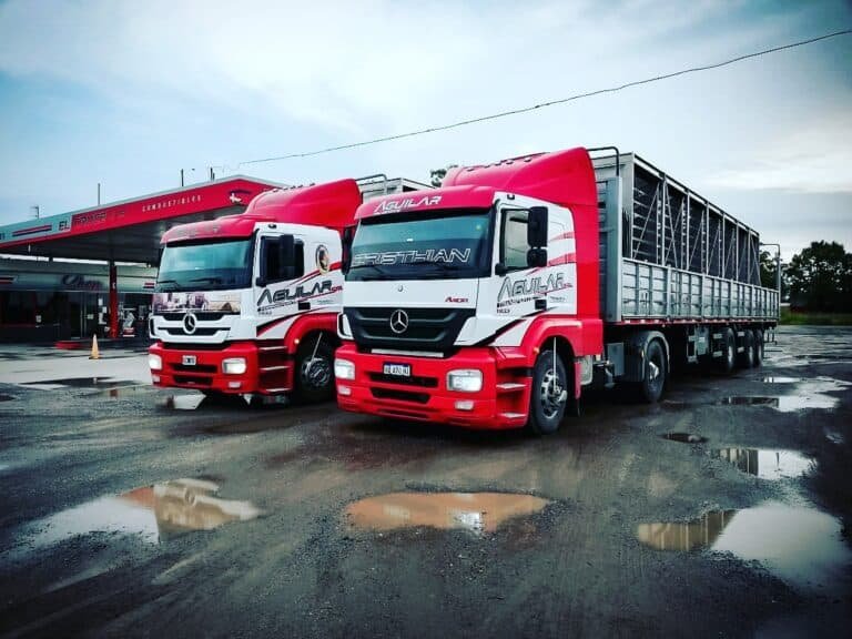 Camiones Semis de Transporte Aguilar